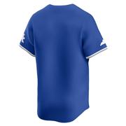 Kentucky Nike YOUTH V-Neck Baseball Jersey